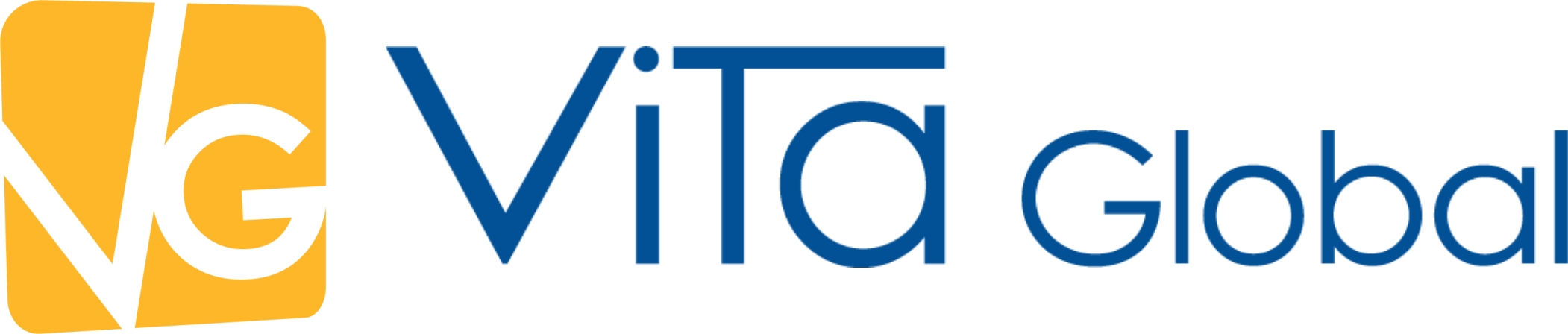 Vita Global Cons